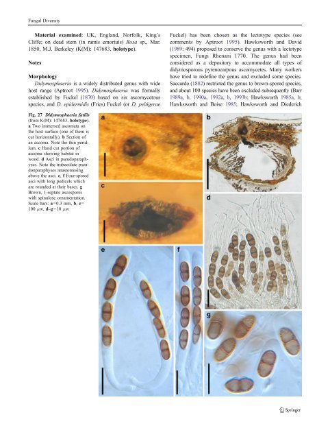 Pleosporales - CBS - KNAW