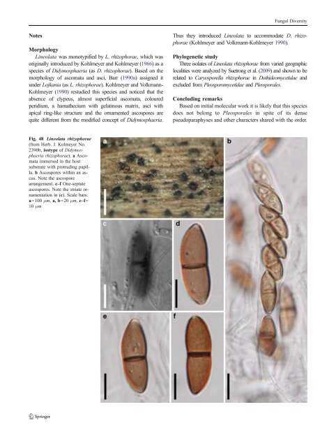 Pleosporales - CBS - KNAW