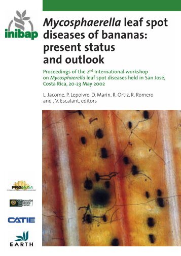 Mycosphaerella leaf spot diseases of bananas - CBS