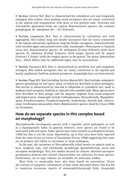 Mycosphaerella leaf spot diseases of bananas - CBS