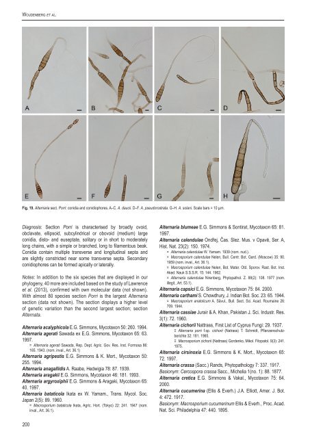 Alternaria redefined - CBS - KNAW