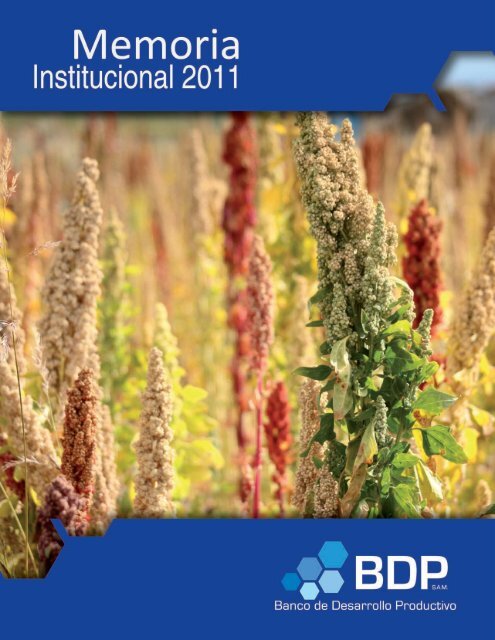 Memoria_2011.pdf - Banco de Desarrollo Productivo
