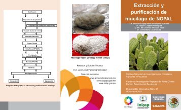 Extracción y purificación de mucílago de NOPAL - INIFAP Zacatecas