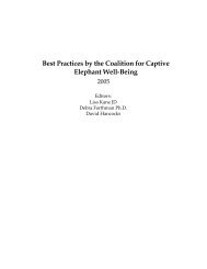 Best Practices by the Coalition for Captive Elephant Well-Being