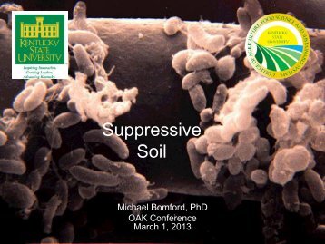 Disease Suppressive Soil