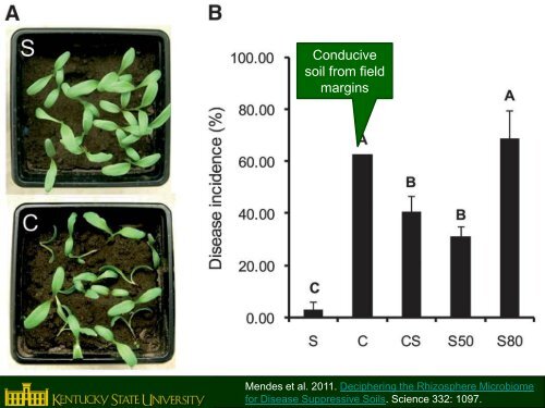 Disease Suppressive Soil