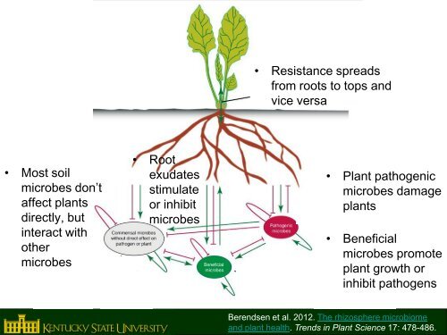 Disease Suppressive Soil