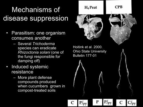 Disease Suppressive Soil