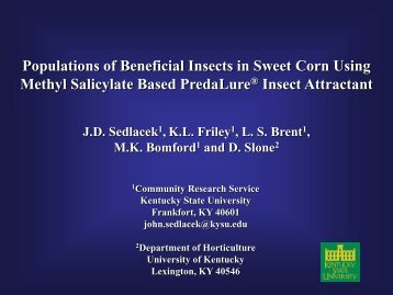 Populations of Beneficial Insects in Sweet Corn Using Methyl ...