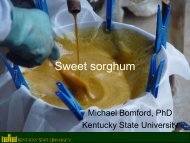 Sweet sorghum - Kentucky State University Organic Agriculture ...