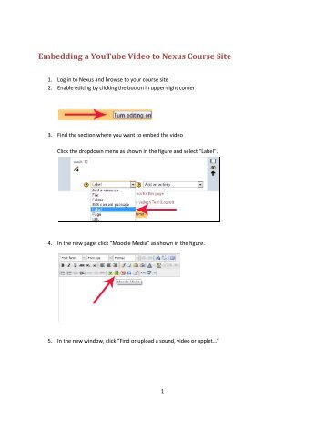 Embedding a YouTube Video to Nexus Course Site.pdf