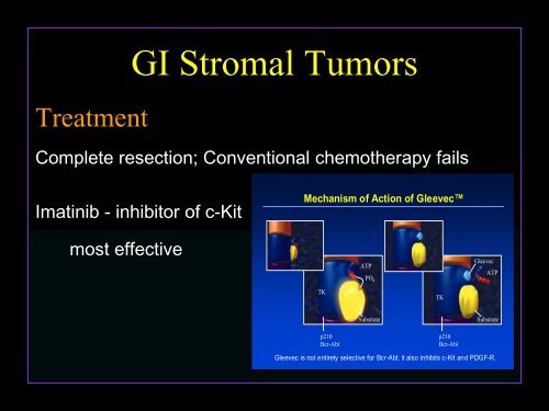 GIST Pathology PowerPoint by Dr. Rosenberg - The Life Raft Group