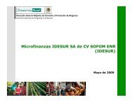 Microfinanzas IDESUR SA de CV SOFOM ENR (IDESUR) - precesam
