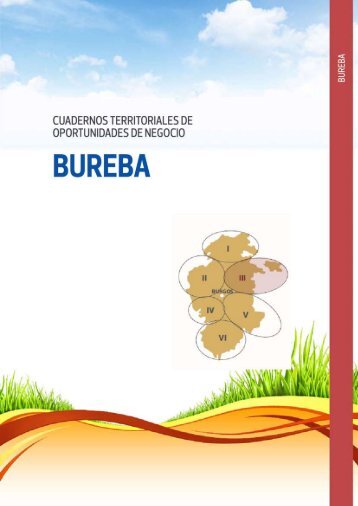 Oportunidades de negocio en la Bureba - AJE Burgos