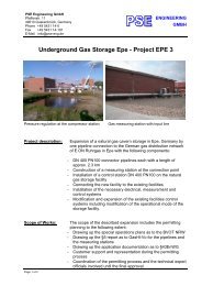 Underground Gas Storage Epe - Project EPE 3 - PSE Engineering ...