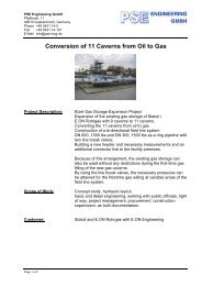 Conversion of 11 Caverns from Oil to Gas - PSE Engineering GmbH