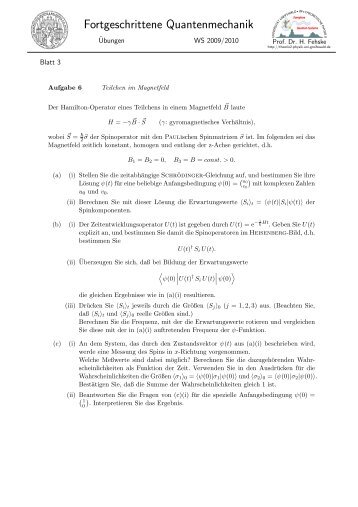 Fortgeschrittene Quantenmechanik - Lehrstuhl Theoretische Physik ...