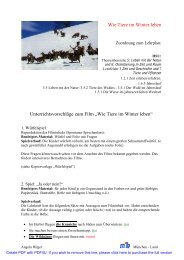 Wie Tiere im Winter leben Unterrichtsvorschläge zum Film „Wie ...