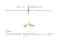 ROTHIRSCH EDELHERT - Naturpark Maas-Schwalm-Nette