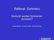 Referat: Schmerz