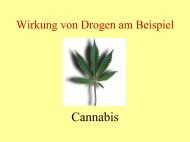 Wirkung von Drogen am Beispiel Cannabis