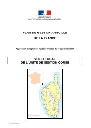 plan anguille france volet local corse - Onema