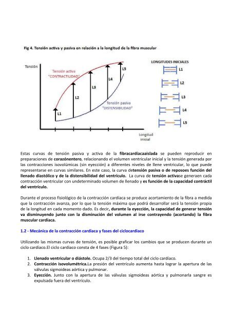 tema 1. fisiologia cardiovascular - Escuela de Medicina