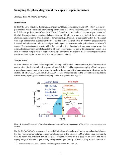 Sampling the phase diagram of the cuprate superconductors - DFG ...