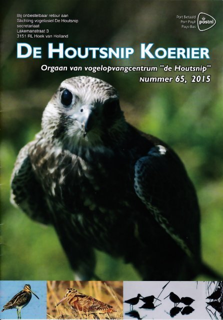 De Houtsnip Koerier 2015, nummer 65