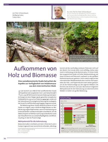 Aufkommen von Holz und Biomasse