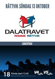 Program - Dalatravet