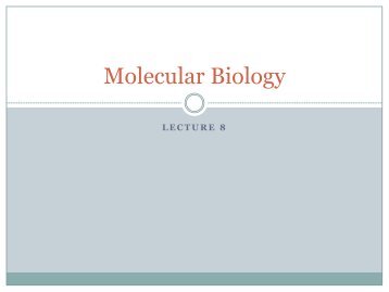 Molecular biology lecture 8 - lectureug4