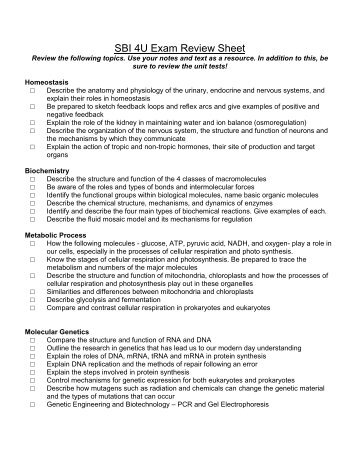 SBI 4U Exam Review Sheet 2013 - whssbiozone