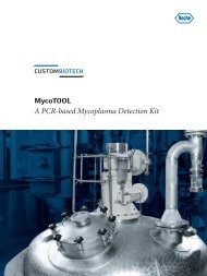 MycoTOOL A PCR-based Mycoplasma Detection Kit