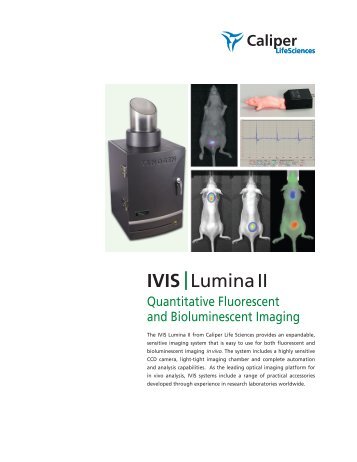 IVIS |Lumina II