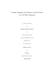 MA thesis (2007) - Prof. Dominik Schneble - Stony Brook University