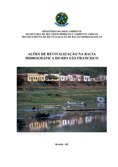 ações de revitalização na bacia hidrográfica do rio são francisco