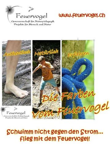 Feuervogel Genossenschaft - Newsletter - Sommer - Winter 2015