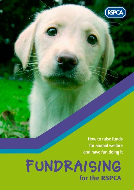 Fundraising for the RSPCA (PDF 338KB)