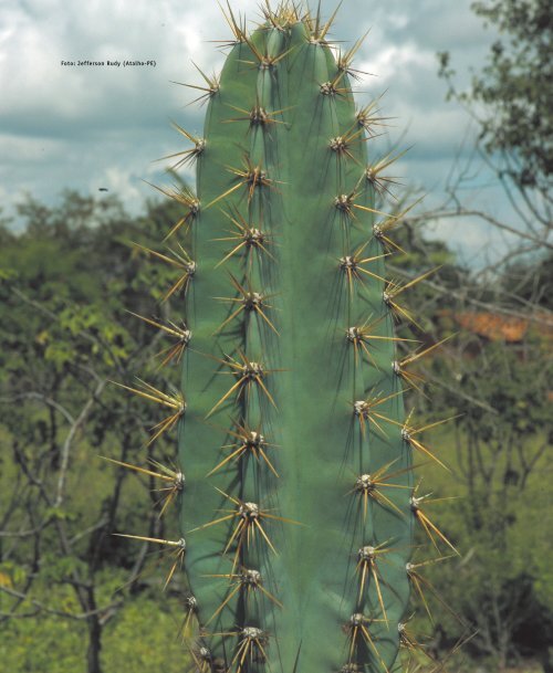 caderno da região hidrográfica atlântico nordeste oriental