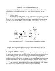 Chapter16 - Glycolysis and Gluconeogenesis Topics you're not ...