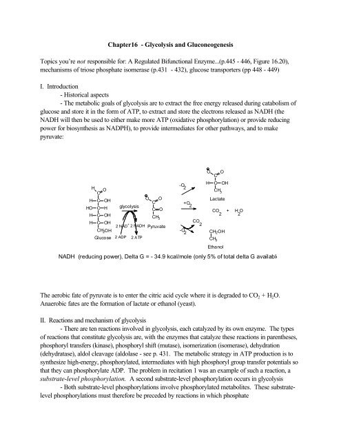 Chapter16 - Glycolysis and Gluconeogenesis Topics you're not ...