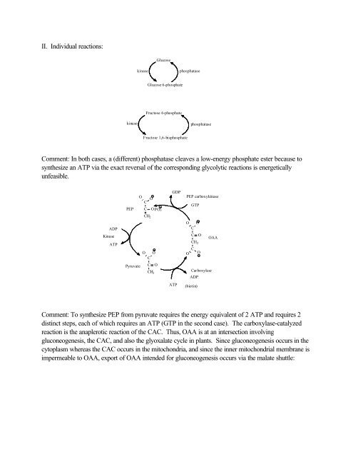 Chapter16 - Glycolysis and Gluconeogenesis Topics you're not ...