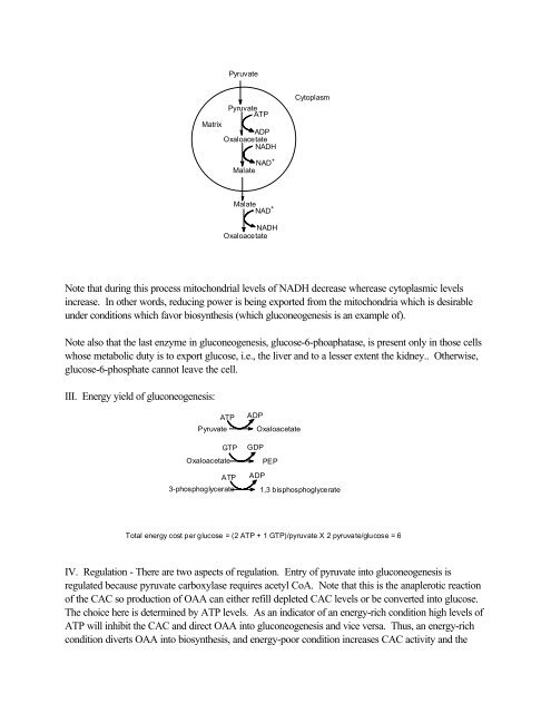 Chapter16 - Glycolysis and Gluconeogenesis Topics you're not ...