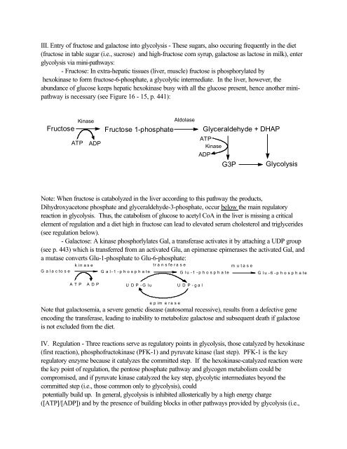 Chapter16 - Glycolysis and Gluconeogenesis Topics you're not ...