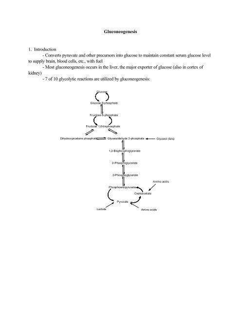 Chapter16 - Glycolysis and Gluconeogenesis Topics you're not ...