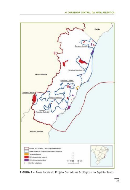 O Corredor Central da Mata Atlântica - Conservação Internacional