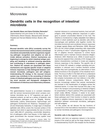 Dendritic cells in the recognition of intestinal m... - ResearchGate