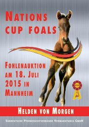 Fohlenauktion Nations cup foals Mannheim - 18. Juli 2015