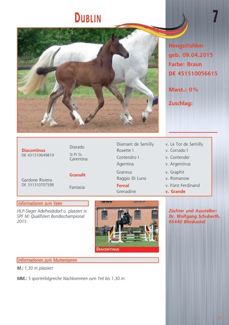 Fohlenauktion Nations cup foals Mannheim - 18. Juli 2015